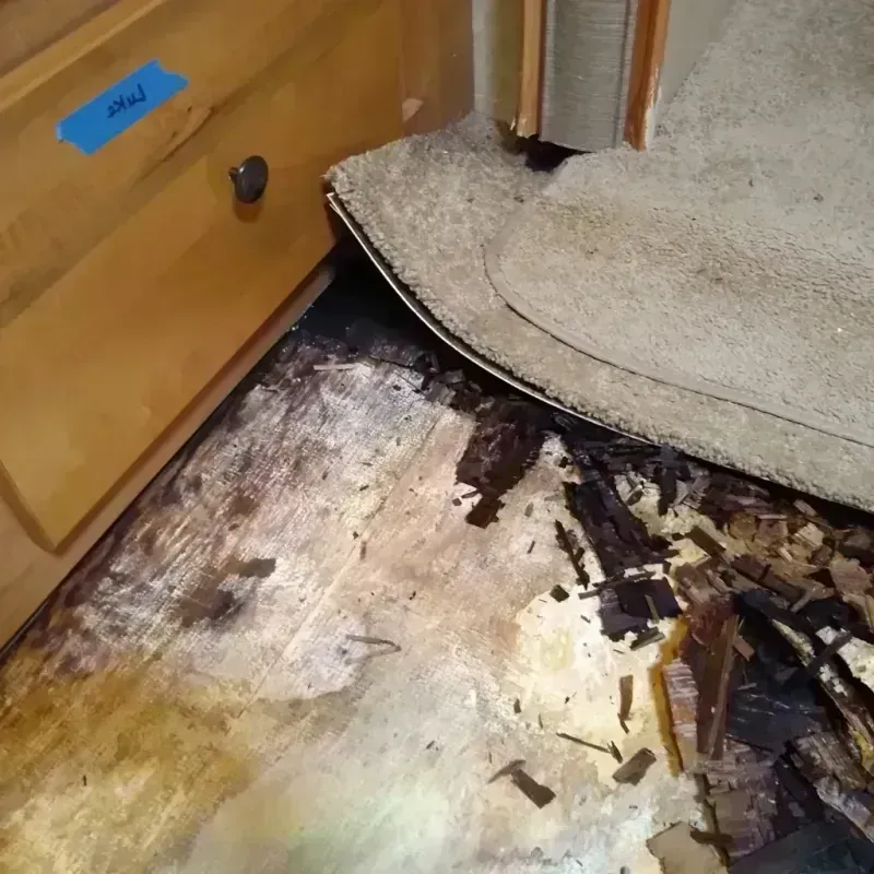 Wood Floor Water Damage in Catalina, AZ